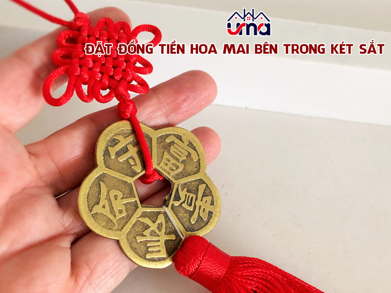 dat-dong-tien-hoa-mai-ben-trong-ket-sat