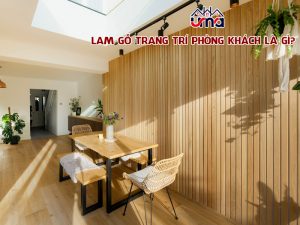 lam-go-trang-tri-phong-khach-la-gi