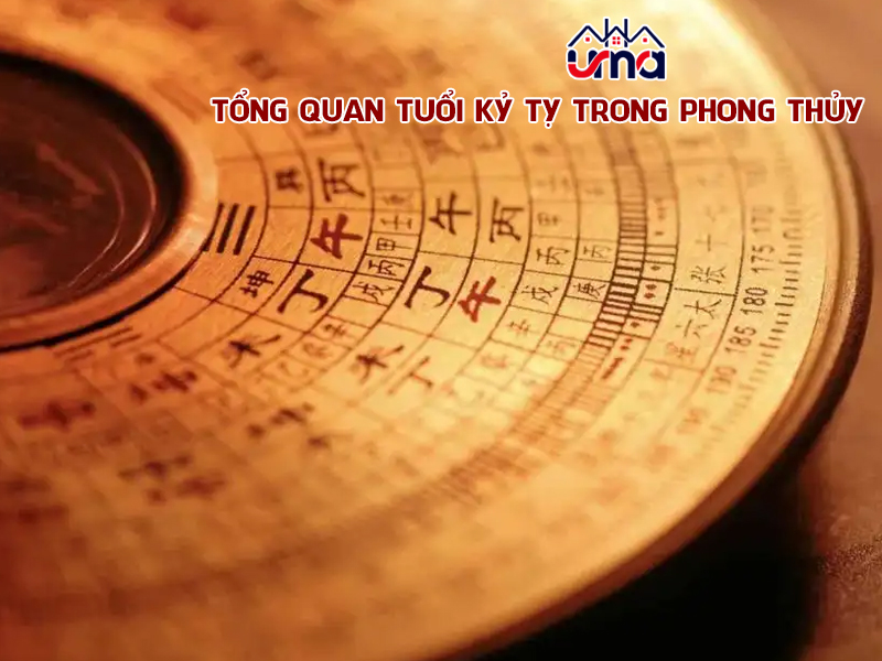 tong-quan-tuoi-ky-ty-trong-phong-thuy