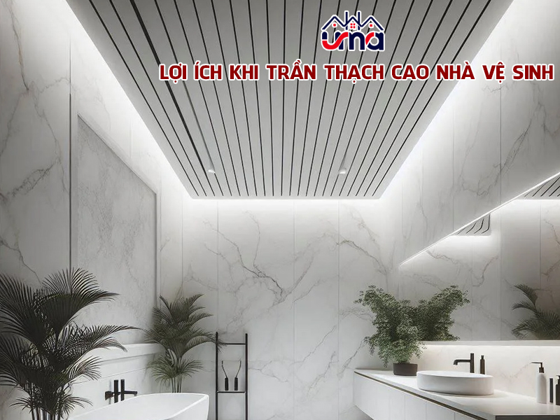 loi-ich-khi-lam-tran-thach-cao-nha-ve-sinh