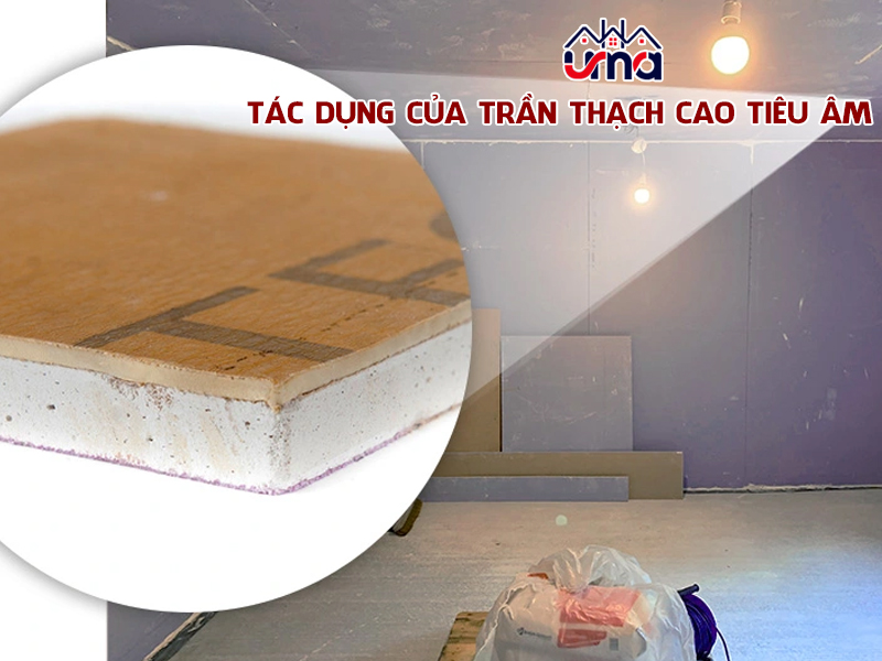 tac-dung-cua-tran-thach-cao-tieu-am