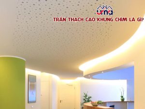 tran-thach-cao-khung-chim-la-gi