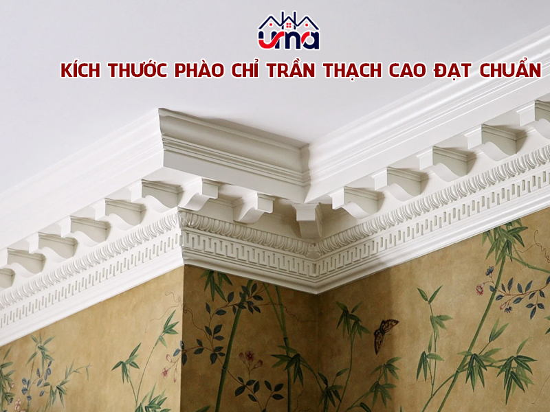 kich-thuoc-phao-chi-tran-thach-cao-dat-chuan
