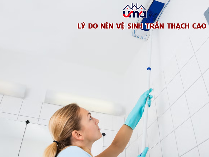 ly-do-nen-ve-sinh-tran-thach-cao