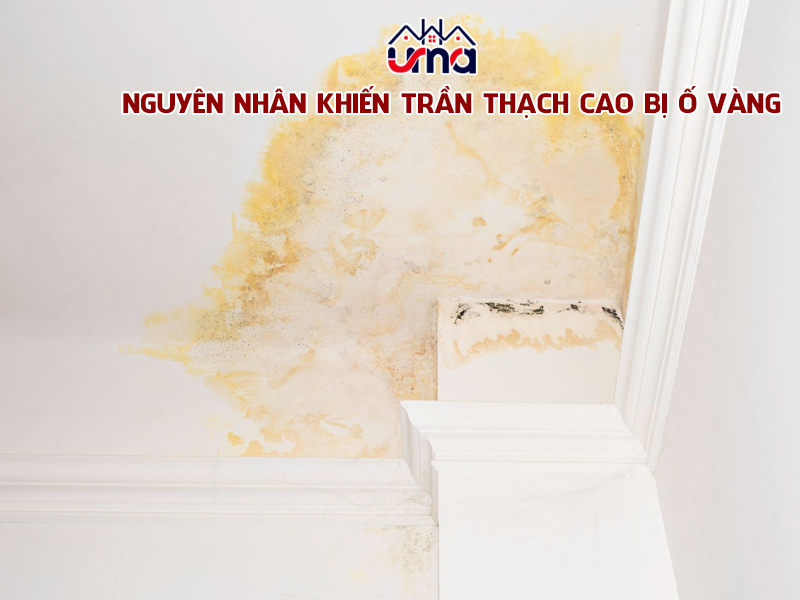 nguyen-nhan-khien-tran-thach-cao-bi-o-vang