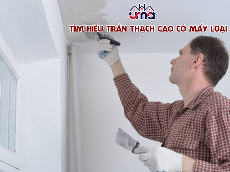 tim-hieu-tran-thach-cao-co-may-loai