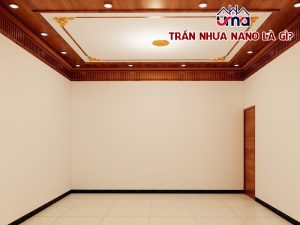 tran-nhua-nano-la-gi