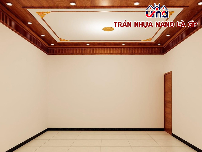 tran-nhua-nano-la-gi