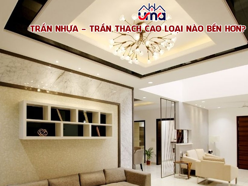 tran-nhua-tran-thach-cao-loai-nao-ben-hon