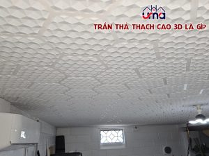 tran-tha-thach-cao-3d-la-gi