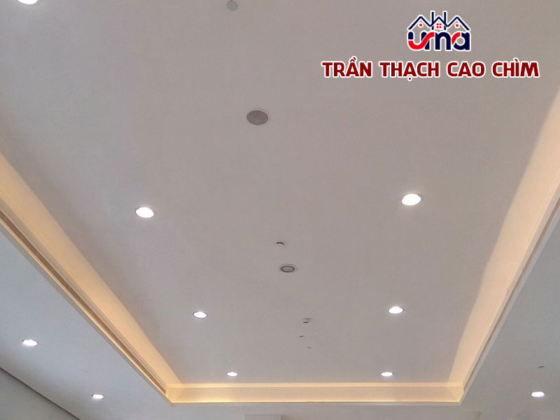 tran-thach-cao-chim