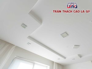 tran-thach-cao-la-gi