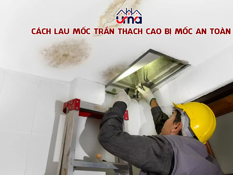 cach-lau-tran-thach-cao-bi-moc-an-toan