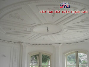 cau-tao-cua-tran-thach-cao