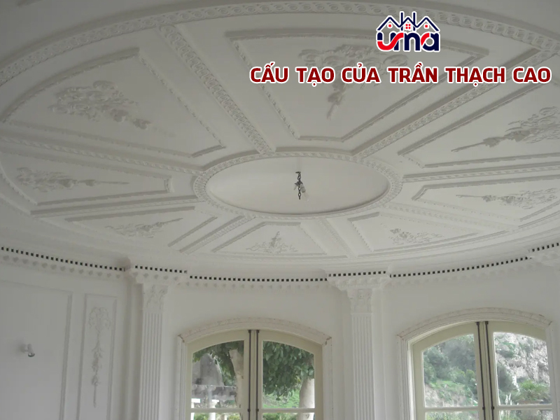 cau-tao-cua-tran-thach-cao