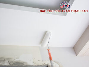 dac-tinh-son-tran-thach-cao