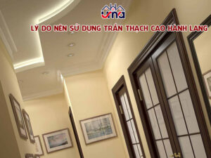 ly-do-nen-su-dung-tran-thach-cao-hanh-lang