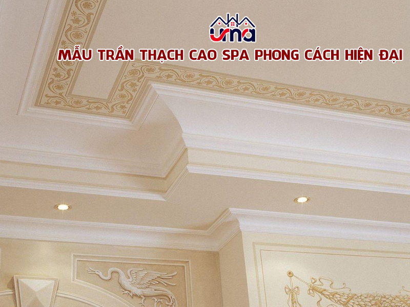 mau-tran-thach-cao-spa-phong-cach-hien-dai