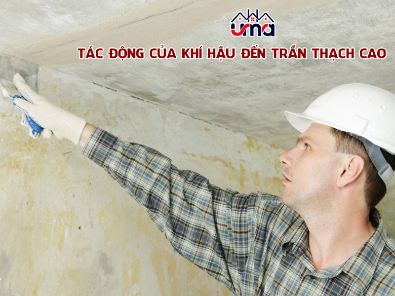tac-dong-cua-khi-hau-den-tran-thach-cao