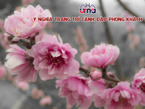 y-nghia-trang-tri-canh-dao-phong-khach