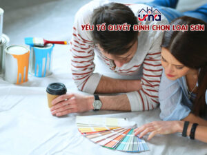 yeu-to-quyet-dinh-chon-loai-son