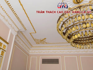tran-thah-cao-dat-vang-la-gi