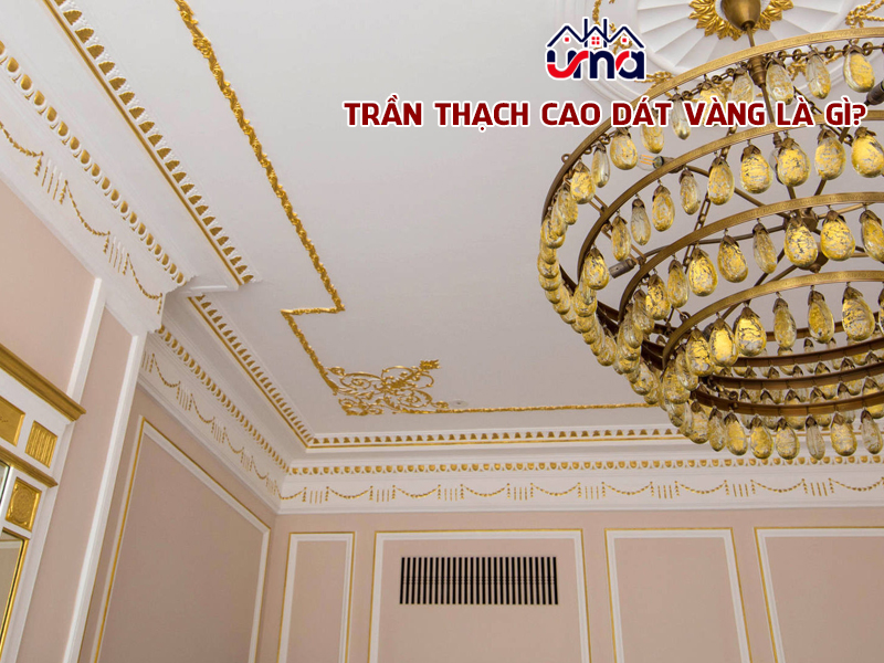 tran-thah-cao-dat-vang-la-gi