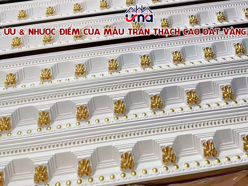 uu-nhuoc-diem-cua-mau-tran-thach-cao-dat-vang