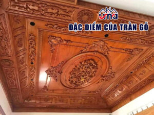 dac-diem-cua-tran-go