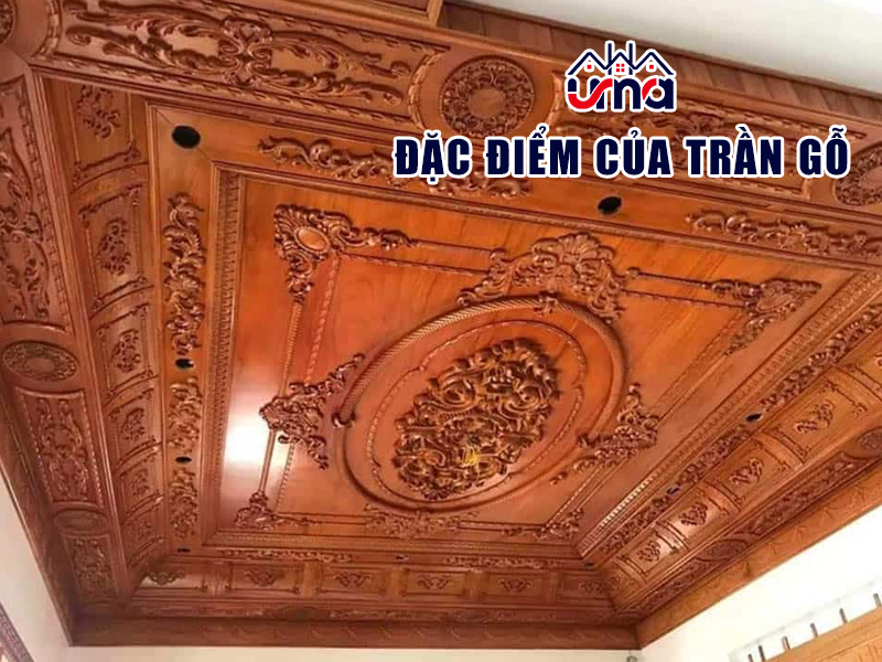 dac-diem-cua-tran-go