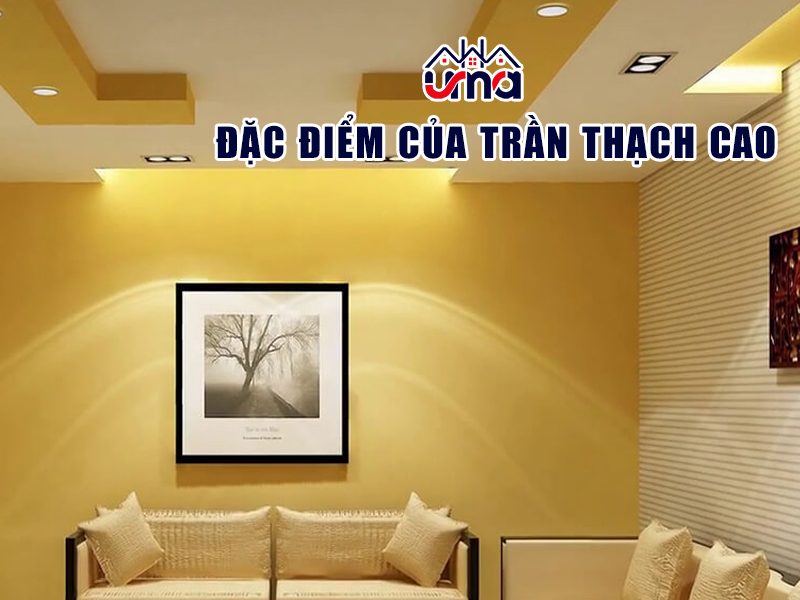 dac-diem-cua-tran-thach-cao
