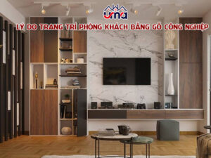 ly-do-trang-tri-phong-khach-bang-go-cong-nghiep