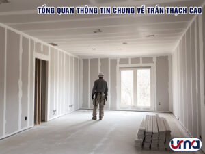 tong-quan-thong-tin-chung-ve-tran-thach-cao