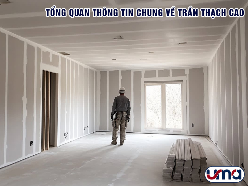 tong-quan-thong-tin-chung-ve-tran-thach-cao