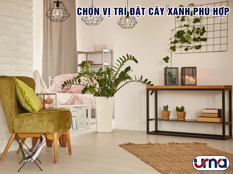 chon-vi-tri-dat-cay-xanh-phu-hop