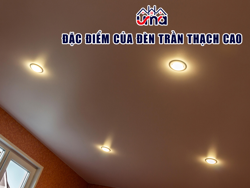 dac-diem-cua-den-tran-thach-cao