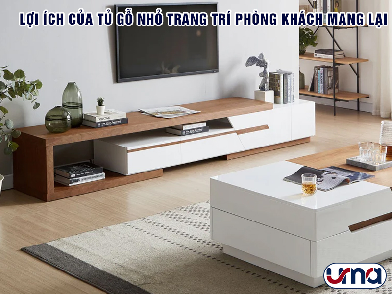 loi-ich-cua-tu-go-nho-trang-tri-phong-khach-mang-lai