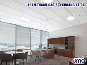 tran-thach-cao-soi-khoang-la-gi