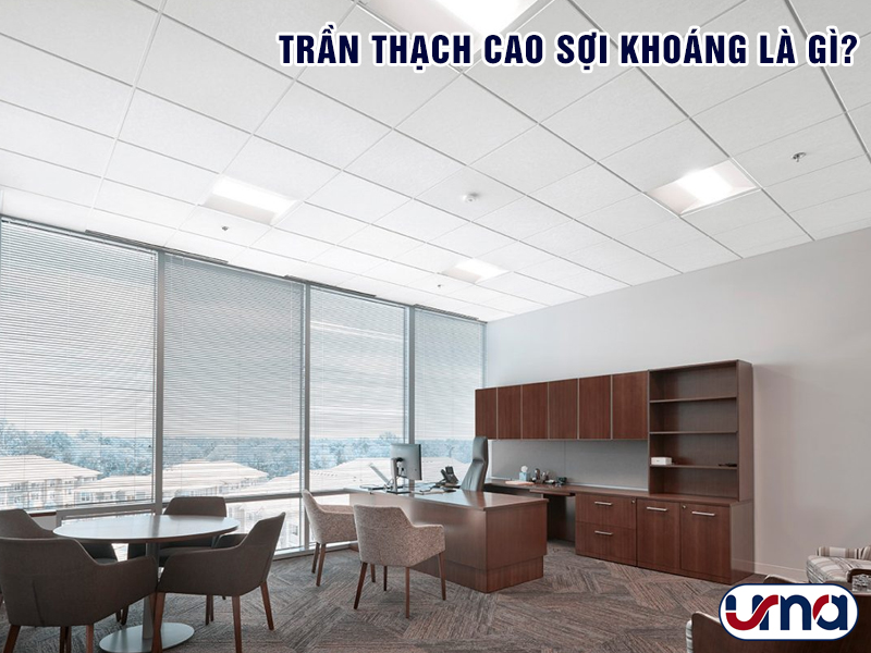 tran-thach-cao-soi-khoang-la-gi
