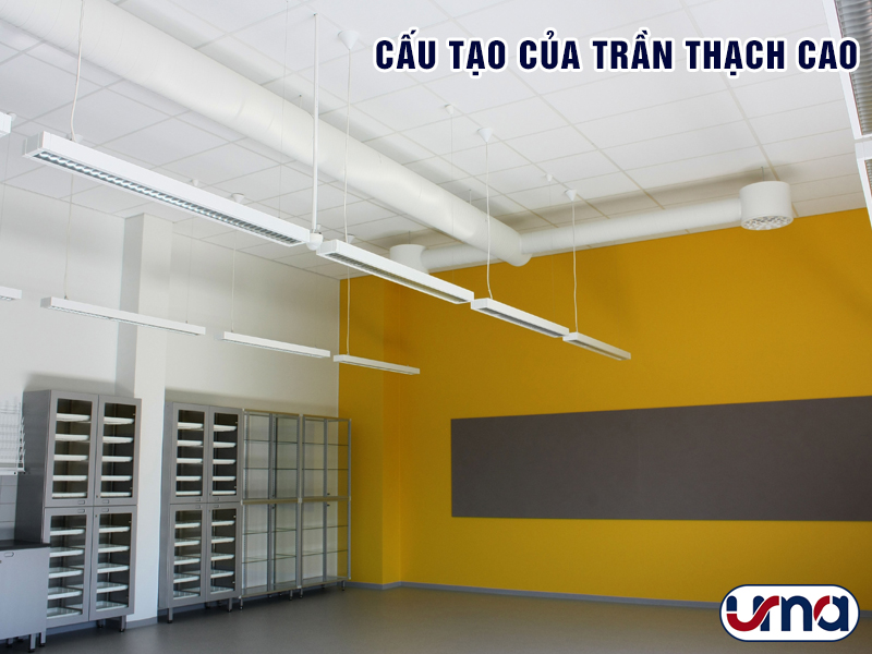 cau-tao-cua-tran-thach-cao