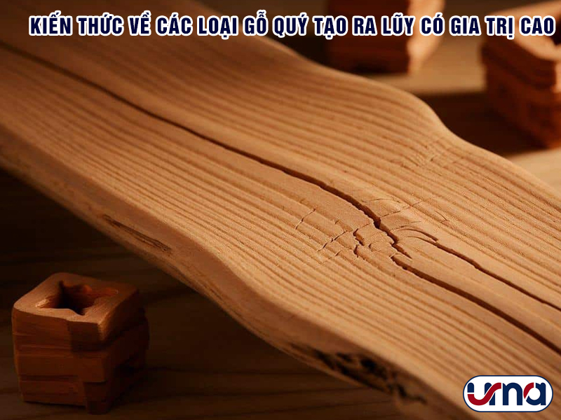 kien-thuc-ve-cac-loai-go-quy-tao-ra-luy-co-gia-tri-cao