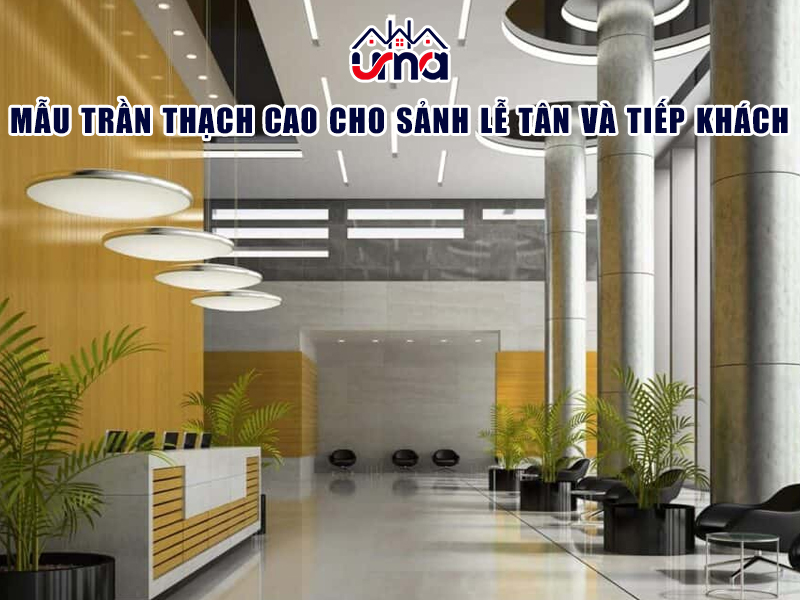 mau-tran-thach-cao-cho-sanh-le-tan-va-tiep-khach