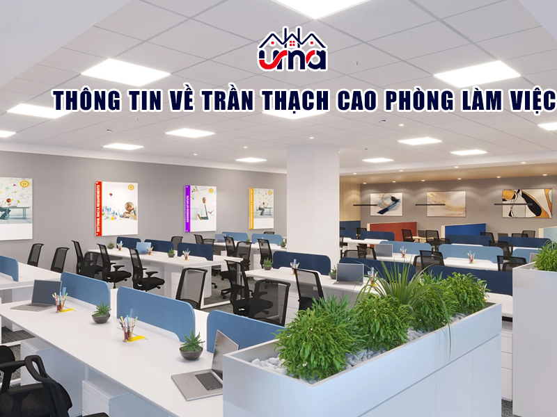 thong-tin-ve-tran-thach-cao-phong-lam-viec